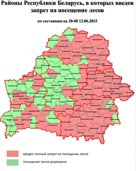 Только в трех районах Витебской области пока можно посещать леса