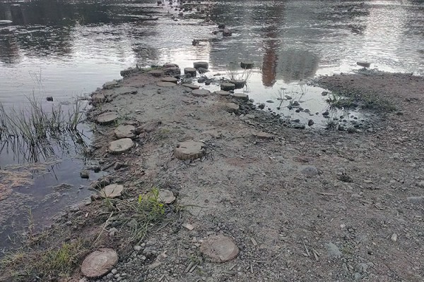 В Витебске срезают остатки свай деревянного моста через Двину. Фото Сергея Серебро