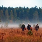 В Витебской области ищут четырех человек, заблудившихся в лесах. В Докшицком районе пенсионерку не могут найти три недели