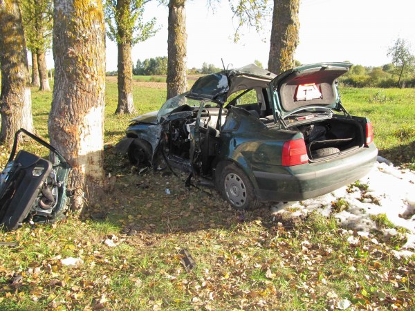 В Чашникском районе минчанин на «Volkswagen» врезался в дерево и погиб. Фото УВД Витебского облисполкома