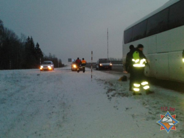 45 человек оказались в заглохшем автобусе посреди дороги в Оршанском районе. Фото МЧС