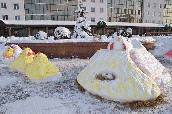 Цыплята и курица, здесь могла бы быть реклама птицефабрики. Фото Сергея Серебро