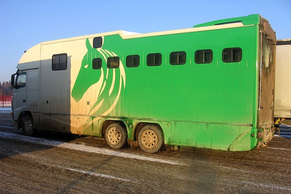 Витебская таможня арестовала автомобиль для перевозки лошадей стоимостью 4,5 миллиарда рублей. Фото ГТК