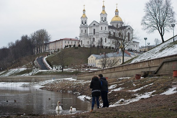 В Витебске на Двину прилетели лебеди. Фото Сергея Серебро