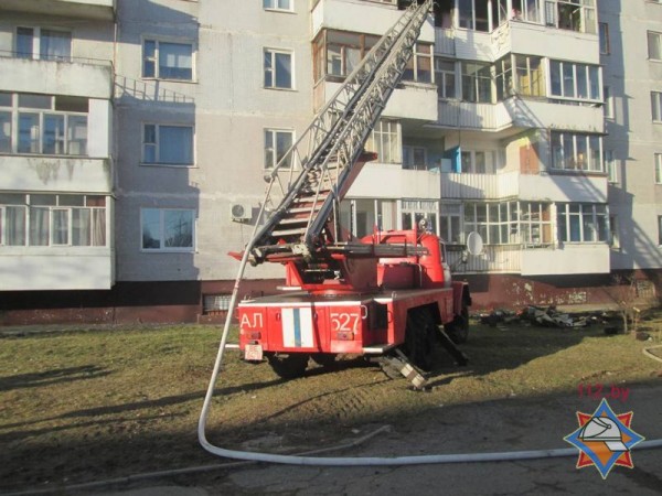 Из-за пожара в девятиэтажке в Витебске эвакуировали 10 человек и собаку. Фото МЧС