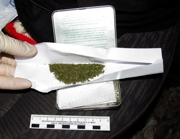 В Орше у безработного нашли 125 грамм марихуаны. Фото УВД Витебского облисполкома