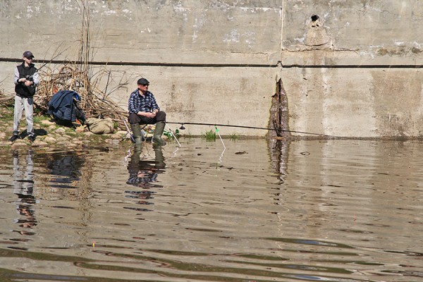 Субботняя рыбалка в Витебске. Фото Сергея Серебро