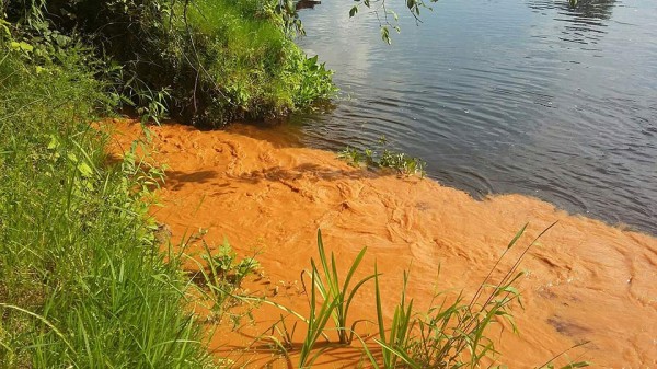 В Витебске на Лучесе появилась странная ядовито-оранжевая пленка на поверхности воды. Фото Ильи Мощенко / vk.com/vitebsk_news