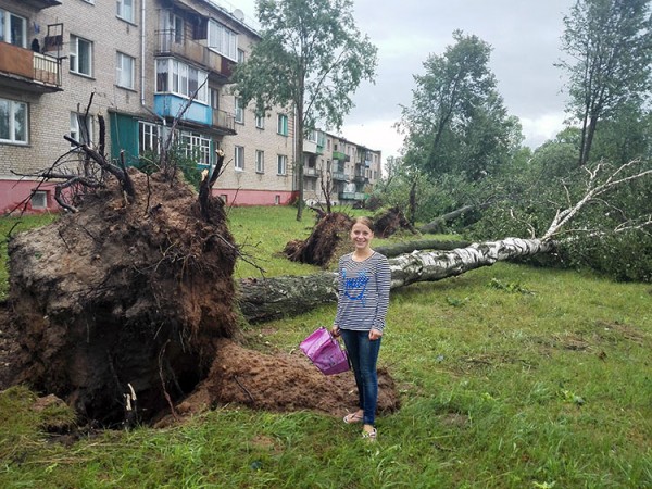 Последствия урагана в Витебской области. Фото Николая Шляхто / vk.com/kkolyasik