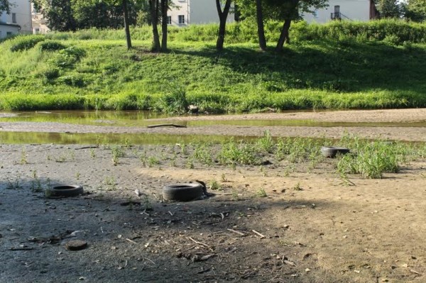 Русло Витьбы в центре Витебска занесло мусором. Фото Юрия Шепелева