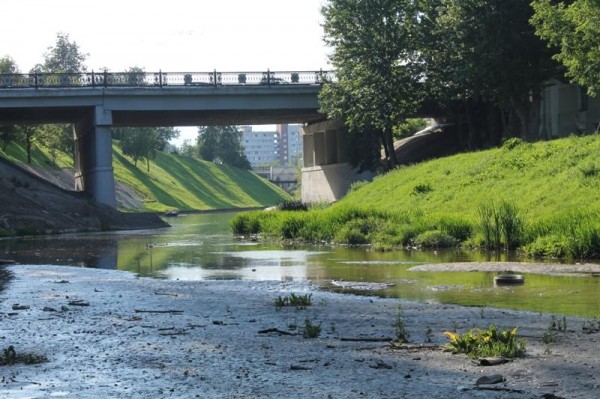 Русло Витьбы в центре Витебска занесло мусором. Фото Юрия Шепелева