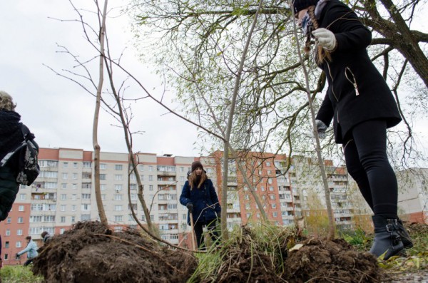 Акция «Самосад»: добровольцы высадили в Витебске около 400 деревьев. Фото Дмитрия Миртича