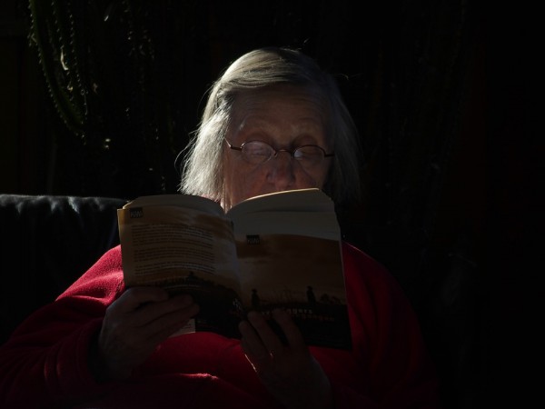 Пожилая женщина, бабушка, читатель, книга. Фото rudolf_langer / pixabay.com