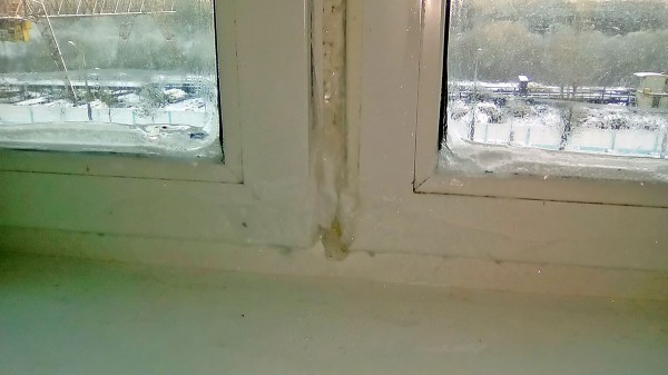 Жильцы новостройки в Витебске жалуются на наледь на окнах внутри квартир. Courtesy photo