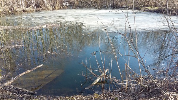 В Шумилинском районе школьник провалился под лед и утонул. Фото СК