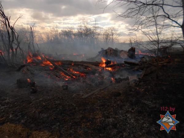 В деревне Горбачево Толочинского района из-за пала травы сгорело три дома. Фото МЧС