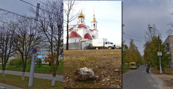 В Витебске к православной церкви подбросили отрезанную голову козы. Courtesy photo