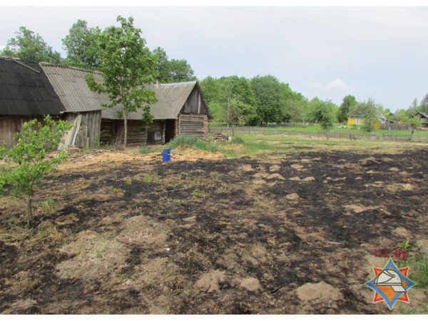 В Оршанском районе три школьника потушили горящую траву и предотвратили пожар дома. Фото МЧС
