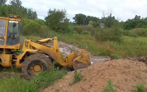 Рыба в реке Добриловка в Глубокском районе могла погибнуть из-за сброса отходов молочного цеха. Фото Государственной инспекции охраны животного и растительного мира