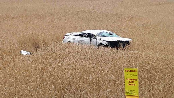 Житель Санкт-Петербурга заснул за рулем и вылетел в поле зерновых, его пассажир оказался в больнице. Фото ГАИ
