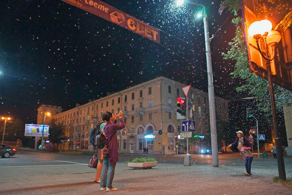 В Витебске начался массовый лет поденки, вечером можно наблюдать мириады бабочек. Фото Сергея Серебро