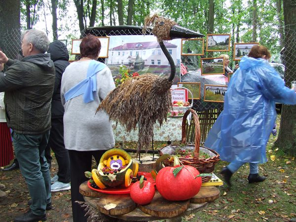 В Миорах прошел шестой фестиваль «Журавы і журавіны Міёрскага краю». Фото Барбары Терешковой