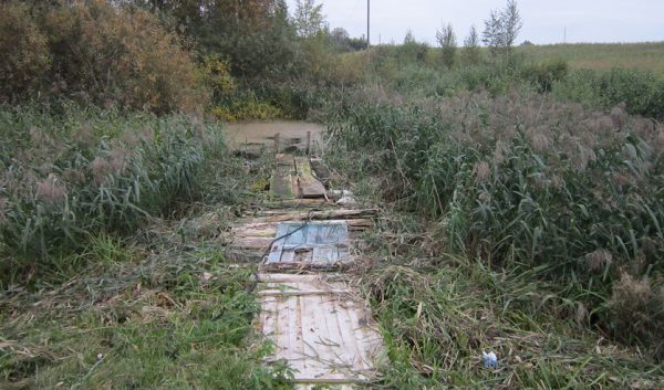 В Глубокском районе маленький ребенок утонул в пруду на дворе у дедушки. Фотографии предоставлены УГКСЭ по Витебской области 