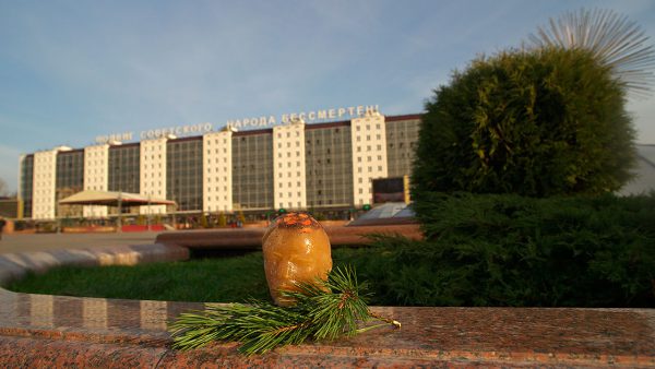 Прощание Ленина с патриотическими символами на площади Победы. Фото Сергея Серебро