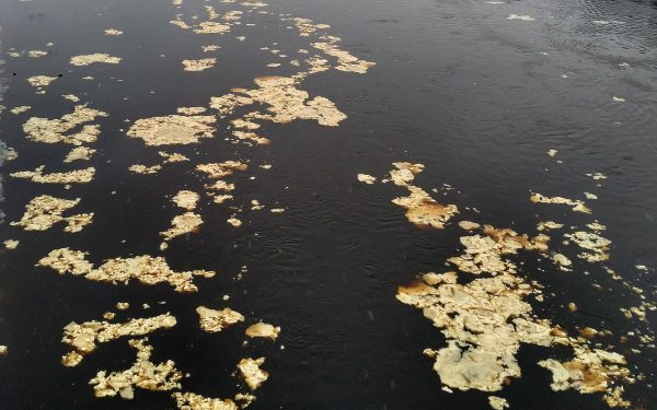 По Двине в Витебске плыл желто-бурый лёд. Courtesy Photo