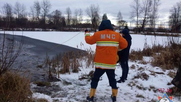 Чтобы спасти замерзающего лебедя спасатели Городоксого РОЧС прошли через ледяную купель. Фото МЧС