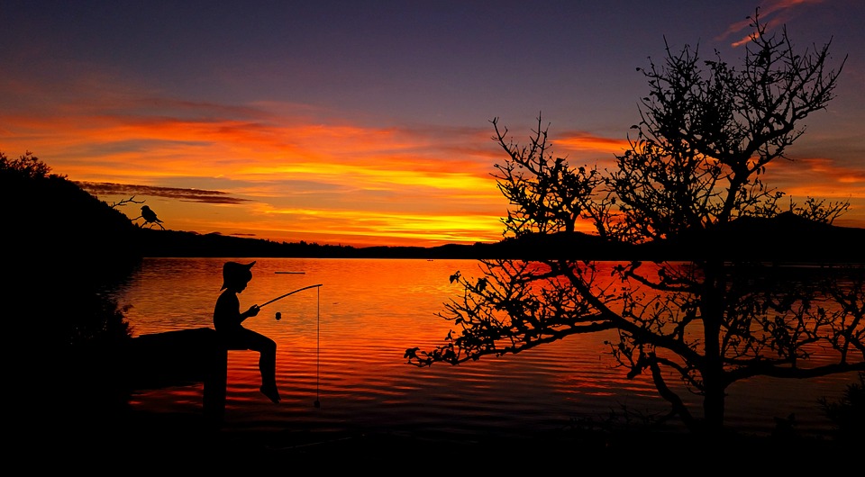 Где ловить на озере: лучшие места для рыбалки