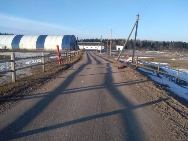 В Глубокском районе председатель колхоза погиб, врезавшись в шлагбаум. Фото ГАИ