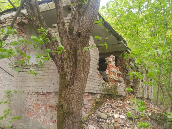 Очистные сооружения в деревне Подберезье Витебского района. Фото Алексея Андреянова