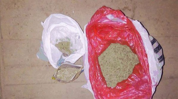 Более килограмма марихуаны нашли у жителя Бигосово Верхнедвинского района. Фото УВД Вbтебского облисполкома