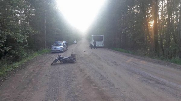 В Полоцком районе мопед влетел под автобус, водитель погиб. Фото ГАИ