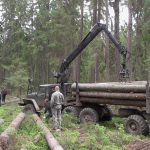 В Полоцком районе за незаконной вырубкой поймали частников