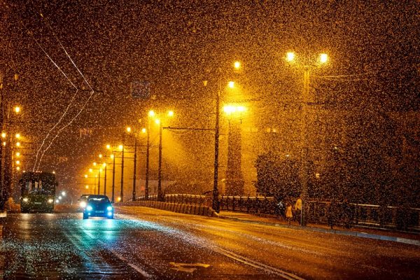 Нашествие мотыльков поденок на Витебск. Фото Андрея Таволжанского