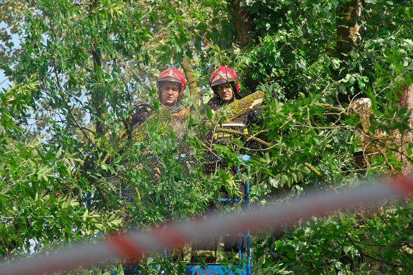 Сотрудники МЧС распиливают дерево. упавшее во дворе дома №1 на улице Кирова. Фото Сергея Серебро