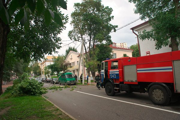 Сотрудники МЧС убирают дерево. упавшее во дворе дома №3 на улице Марка Шагала. Фото Сергея Серебро