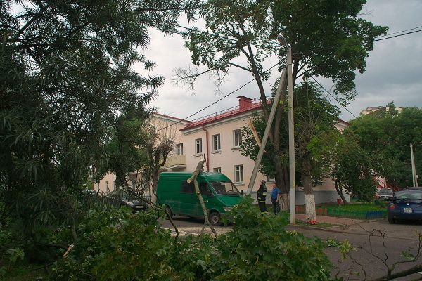 Сотрудники МЧС убирают дерево. упавшее во дворе дома №3 на улице Марка Шагала. Фото Сергея Серебро