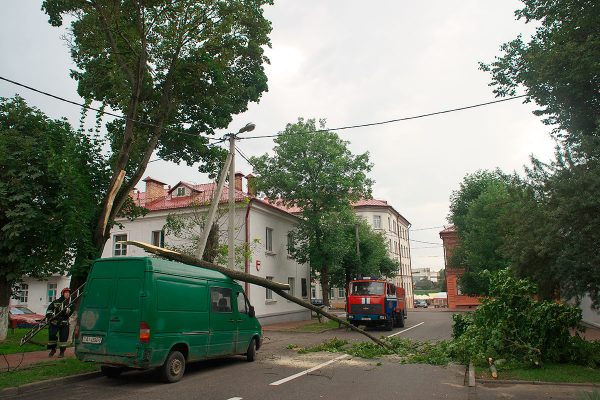 Сотрудники МЧС убирают дерево. упавшее во дворе дома №3 на улице Марка Шагала. Фото Сергея Серебро