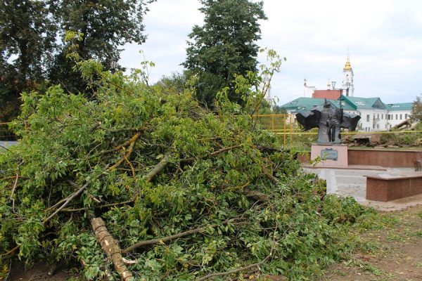В Витебске спилили раскидистую иву у памятника Пушкину. Фото Юрия Шепелева