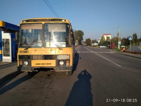 В Толочине рейсовый автобус сбил на пешеходном переходе школьницу. Фото ГАИ