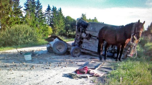 «Жигули» налетели на телегу в Поставском районе, пострадал возница. Фото ГАИ