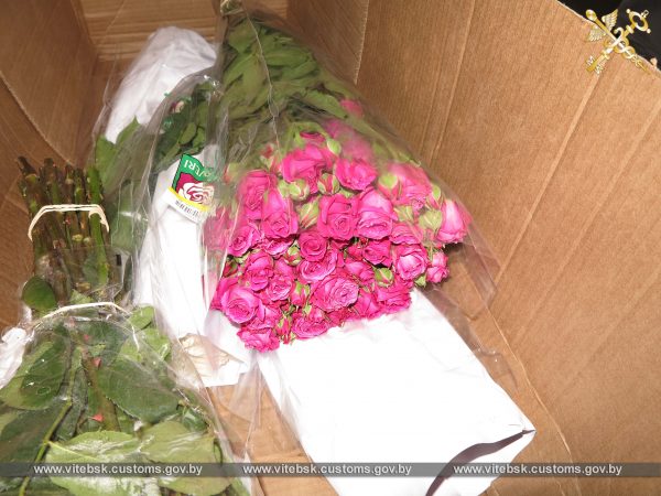 Двадцать тысяч роз, орхидей, гербер и лилий — куда везли необычную контрабанду, задержанную в Витебской области. Фото ГТК