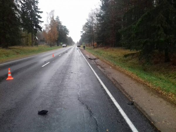 В Городокском районе внедорожник насмерть сбил 18-летнего велосипедиста. Фото ГАИ