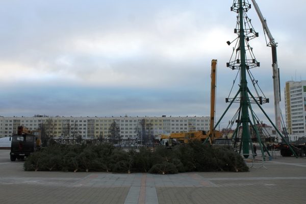 Витебск готовится к Новому году — на площади Победы начали устанавливать главную  ёлку области. Фото Юрия Шепелева