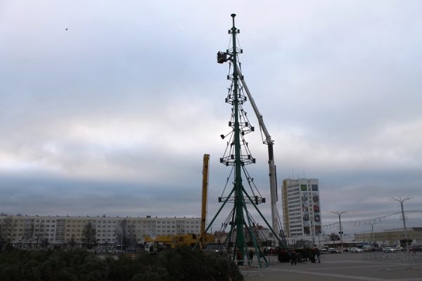 Витебск готовится к Новому году — на площади Победы начали устанавливать главную  ёлку области. Фото Юрия Шепелева