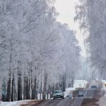 На Старый Новый год в Мазурино пустят дополнительные автобусы