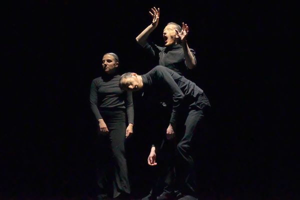 «Look». TREMORS Dance Company, (Минск, Беларусь). IFMC-2018. Фото Сергея Серебро